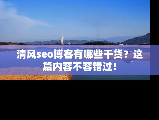 清风seo博客有哪些干货？这篇内容不容错过！