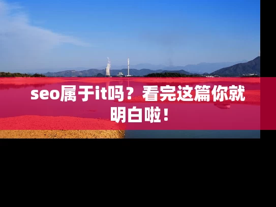 seo属于it吗？看完这篇你就明白啦！