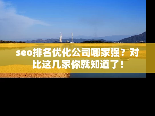 seo排名优化公司哪家强？对比这几家你就知道了！
