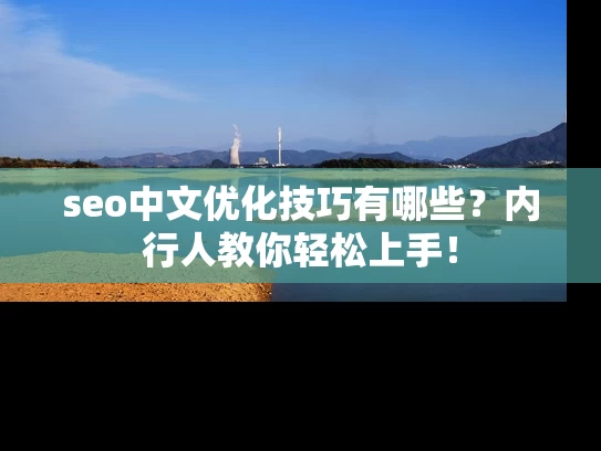 seo中文优化技巧有哪些？内行人教你轻松上手！