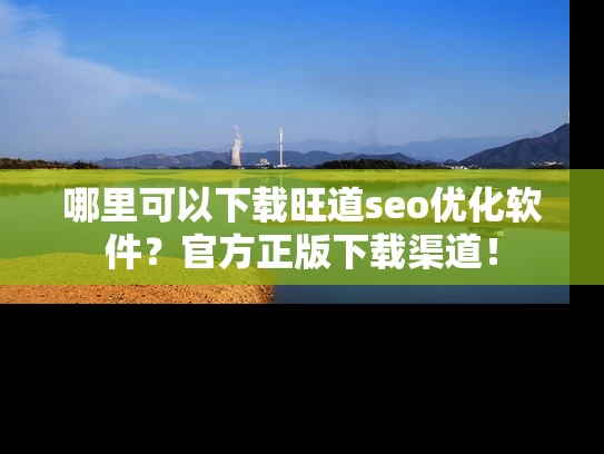 哪里可以下载旺道seo优化软件？官方正版下载渠道！