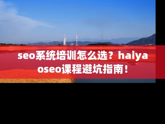 seo系统培训怎么选？haiyaoseo课程避坑指南！