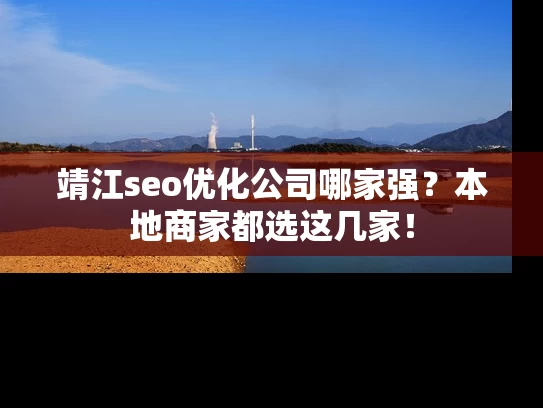 靖江seo优化公司哪家强？本地商家都选这几家！