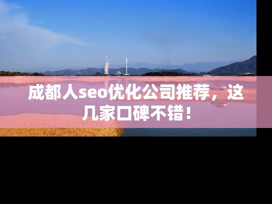 成都人seo优化公司推荐，这几家口碑不错！