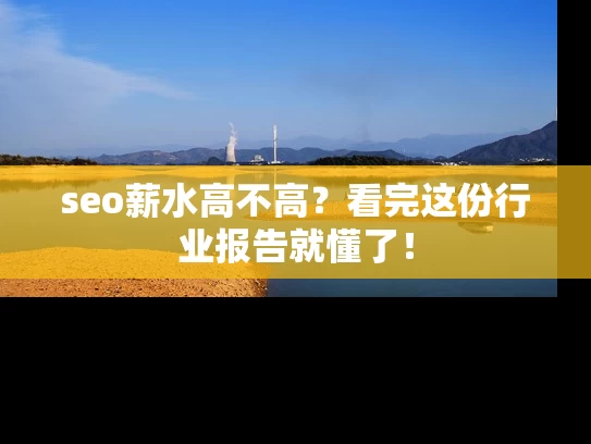 seo薪水高不高？看完这份行业报告就懂了！