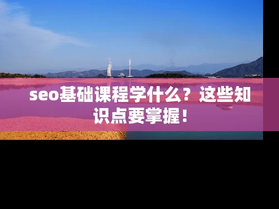 seo基础课程学什么？这些知识点要掌握！