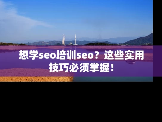 想学seo培训seo？这些实用技巧必须掌握！
