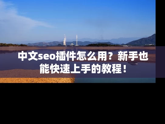 中文seo插件怎么用？新手也能快速上手的教程！