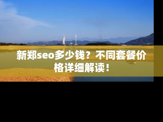 新郑seo多少钱？不同套餐价格详细解读！