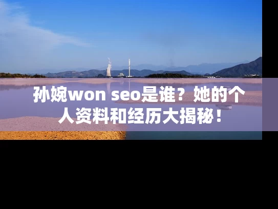 孙婉won seo是谁？她的个人资料和经历大揭秘！
