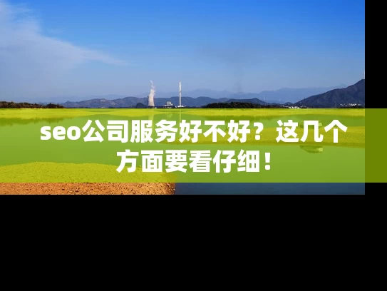 seo公司服务好不好？这几个方面要看仔细！