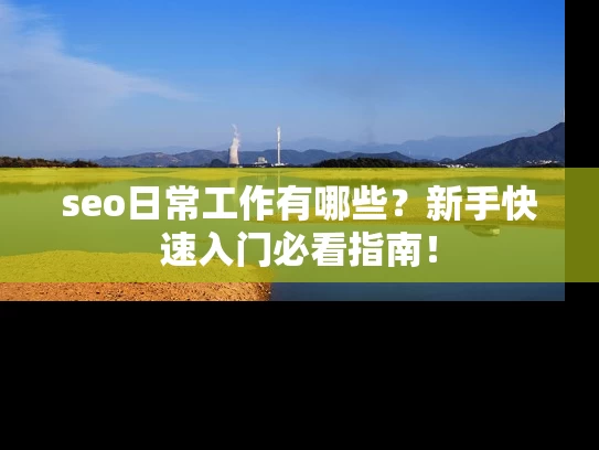 seo日常工作有哪些？新手快速入门必看指南！