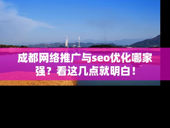成都网络推广与seo优化哪家强？看这几点就明白！