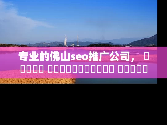 专业的佛山seo推广公司， আপনার ওয়েবসাইটের র‌্যাঙ্কিং উন্নত করুন！