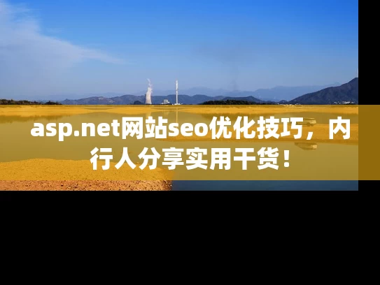 asp.net网站seo优化技巧，内行人分享实用干货！