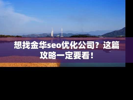 想找金华seo优化公司？这篇攻略一定要看！