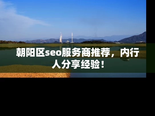 朝阳区seo服务商推荐，内行人分享经验！