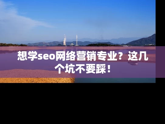 想学seo网络营销专业？这几个坑不要踩！