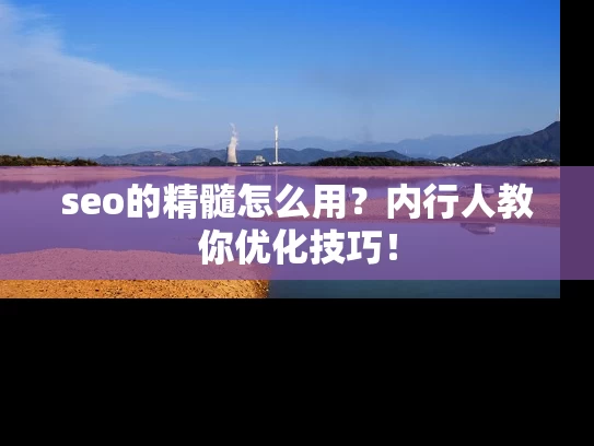 seo的精髓怎么用？内行人教你优化技巧！