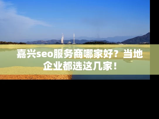 嘉兴seo服务商哪家好?当地企业都选这几家! 嘉兴seo服务商哪家好?当地企业都选这几家!