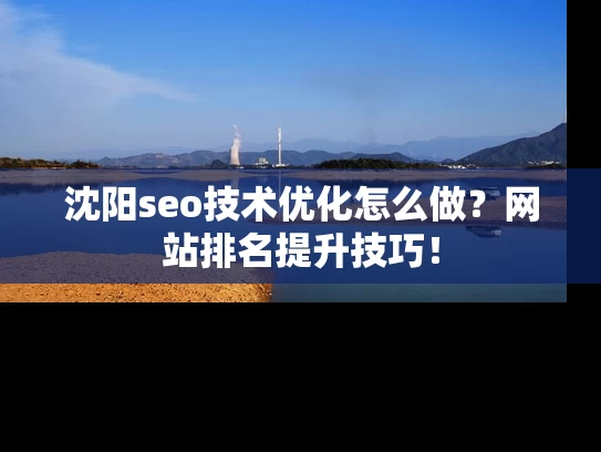 沈阳seo技术优化怎么做?网站排名提升技巧! 沈阳seo技术优化怎么做?网站排名提升技巧!
