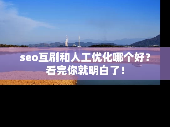 seo互刷和人工优化哪个好？看完你就明白了！