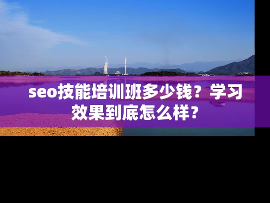 seo技能培训班多少钱？学习效果到底怎么样？