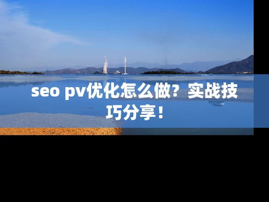 seo pv优化怎么做？实战技巧分享！
