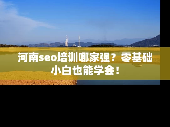 河南seo培训哪家强？零基础小白也能学会！