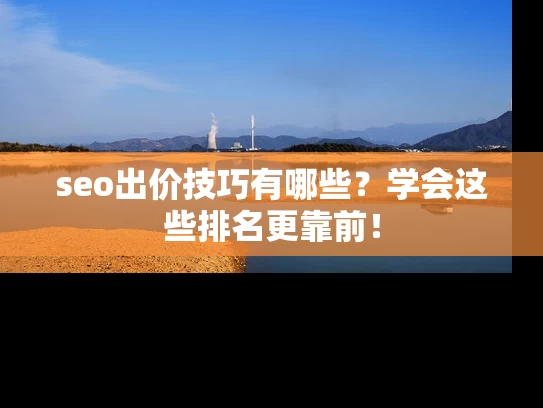 seo出价技巧有哪些？学会这些排名更靠前！