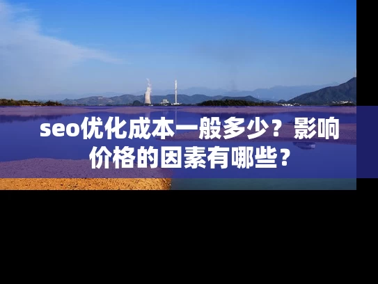 seo优化成本一般多少？影响价格的因素有哪些？