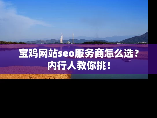 宝鸡网站seo服务商怎么选？内行人教你挑！