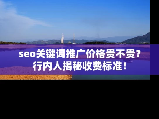seo关键词推广价格贵不贵？行内人揭秘收费标准！