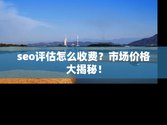 seo评估怎么收费？市场价格大揭秘！