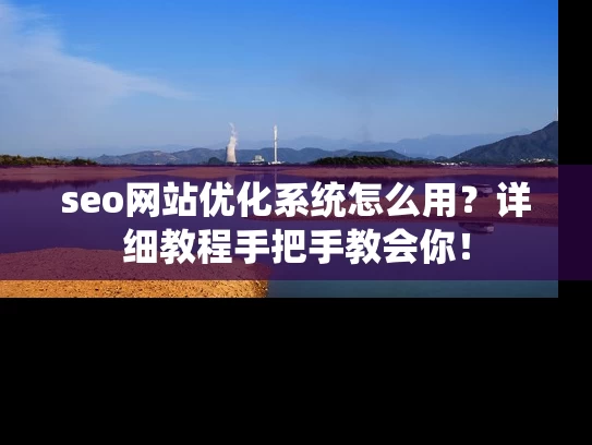 seo网站优化系统怎么用？详细教程手把手教会你！
