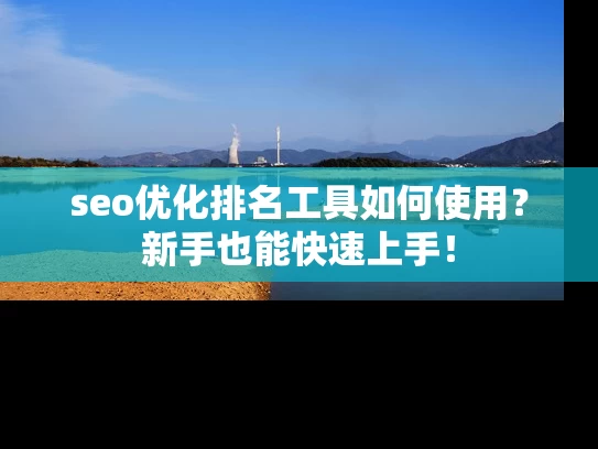 seo优化排名工具如何使用？新手也能快速上手！