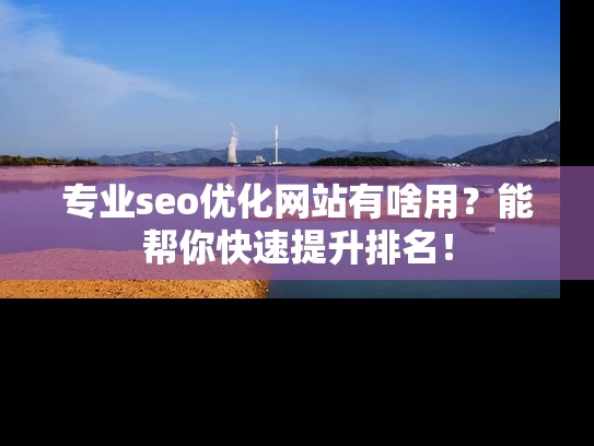 专业seo优化网站有啥用？能帮你快速提升排名！