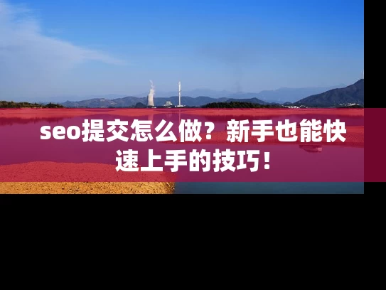 seo提交怎么做？新手也能快速上手的技巧！