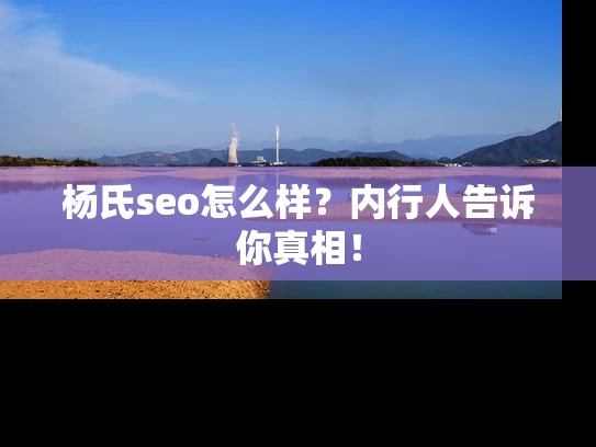 杨氏seo怎么样？内行人告诉你真相！