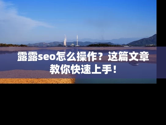 露露seo怎么操作？这篇文章教你快速上手！