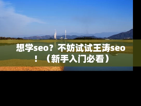 想学seo？不妨试试王涛seo！（新手入门必看）