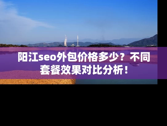 阳江seo外包价格多少？不同套餐效果对比分析！