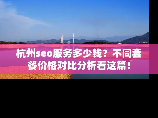 杭州seo服务多少钱？不同套餐价格对比分析看这篇！
