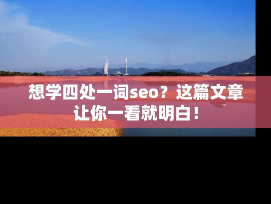 想学四处一词seo？这篇文章让你一看就明白！