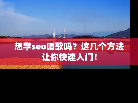 想学seo唱歌吗？这几个方法让你快速入门！