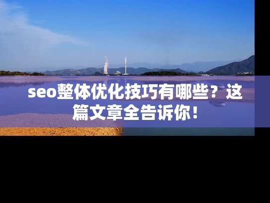 seo整体优化技巧有哪些？这篇文章全告诉你！