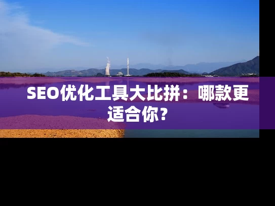 SEO优化工具大比拼：哪款更适合你？