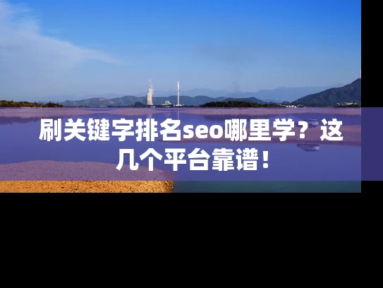 刷关键字排名seo哪里学？这几个平台靠谱！