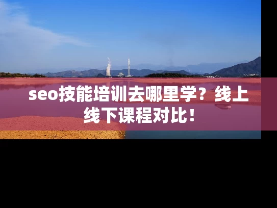 seo技能培训去哪里学？线上线下课程对比！