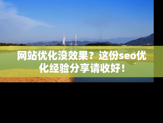 网站优化没效果？这份seo优化经验分享请收好！